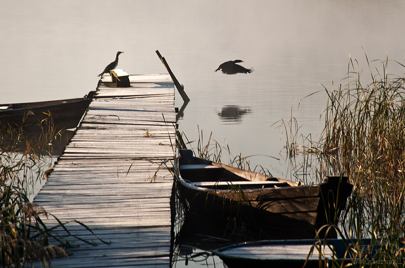 Jezioro Wigry - 09.10.2010