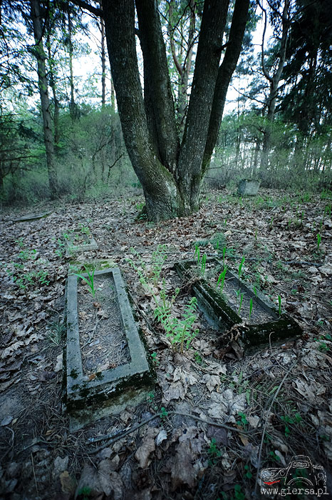XIX Cmentarz Ewangelicki - Udziejek - 30.04.2011