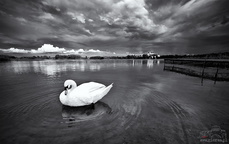 Jezioro Wigry - Stary Folwark - 20.06.2011