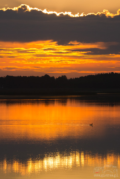 Jezioro Wigry - 07.06.2014
