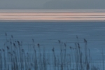 Jezioro Wigry - Słupie - 14.02.2015