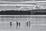 Piaski - jezioro Wigry - 12.08.2012