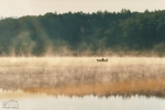 250/365 - jezioro Kamenduł - wrzesień 2011