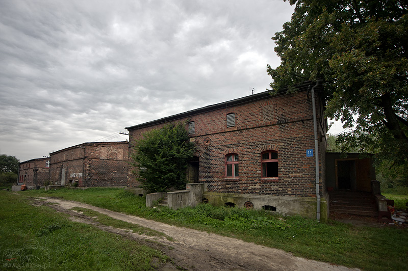 Kolonia Zgorzelec - 04.09.2010
